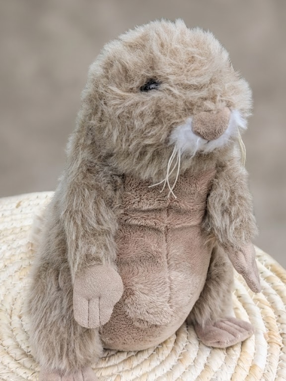 Rare Ganz Webkinz Prairie Dog RARE no Code HM479